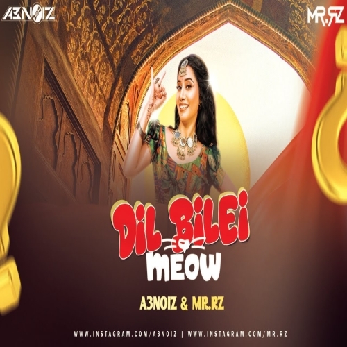 Dil Bilei Meow Meow (Drop) A3 Noiz X Mr Rz
