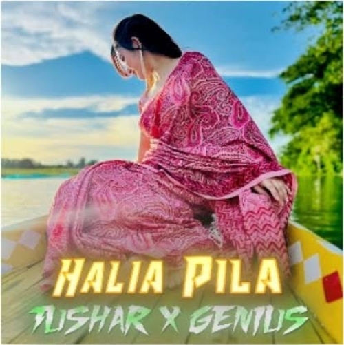 Halia Pila (Circuit Drop Mix) Dj Tushar X Dj Genius