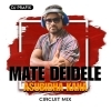 Mate Dei Dele Asubidha Kana (Circuit Edm Mix) Dj Prafix